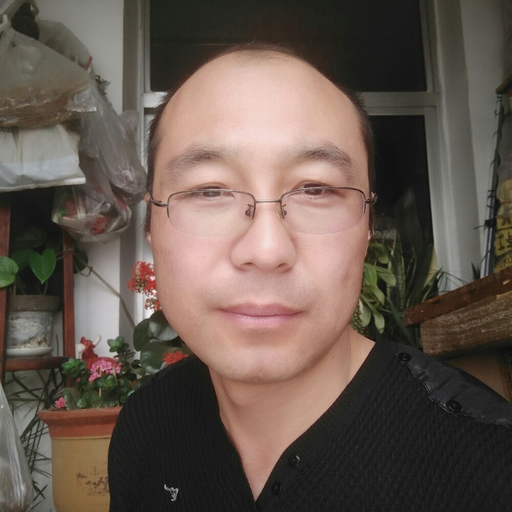 森槿迷路的照片