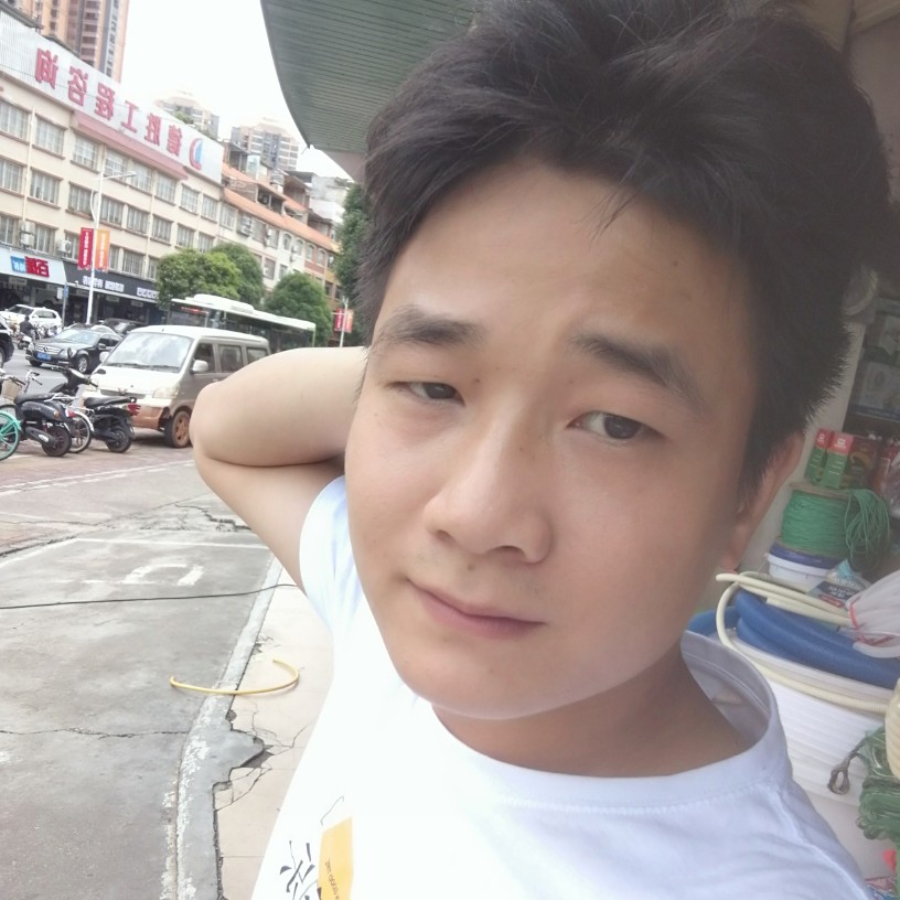 玩命用大象的照片
