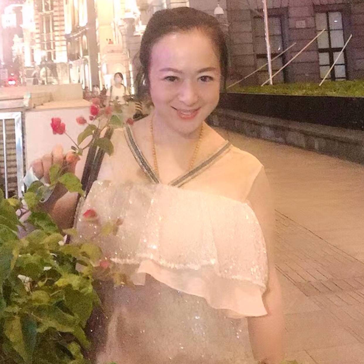 单只蝴蝶的照片