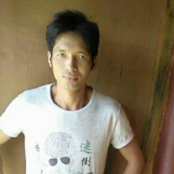 任性等于金鱼的照片