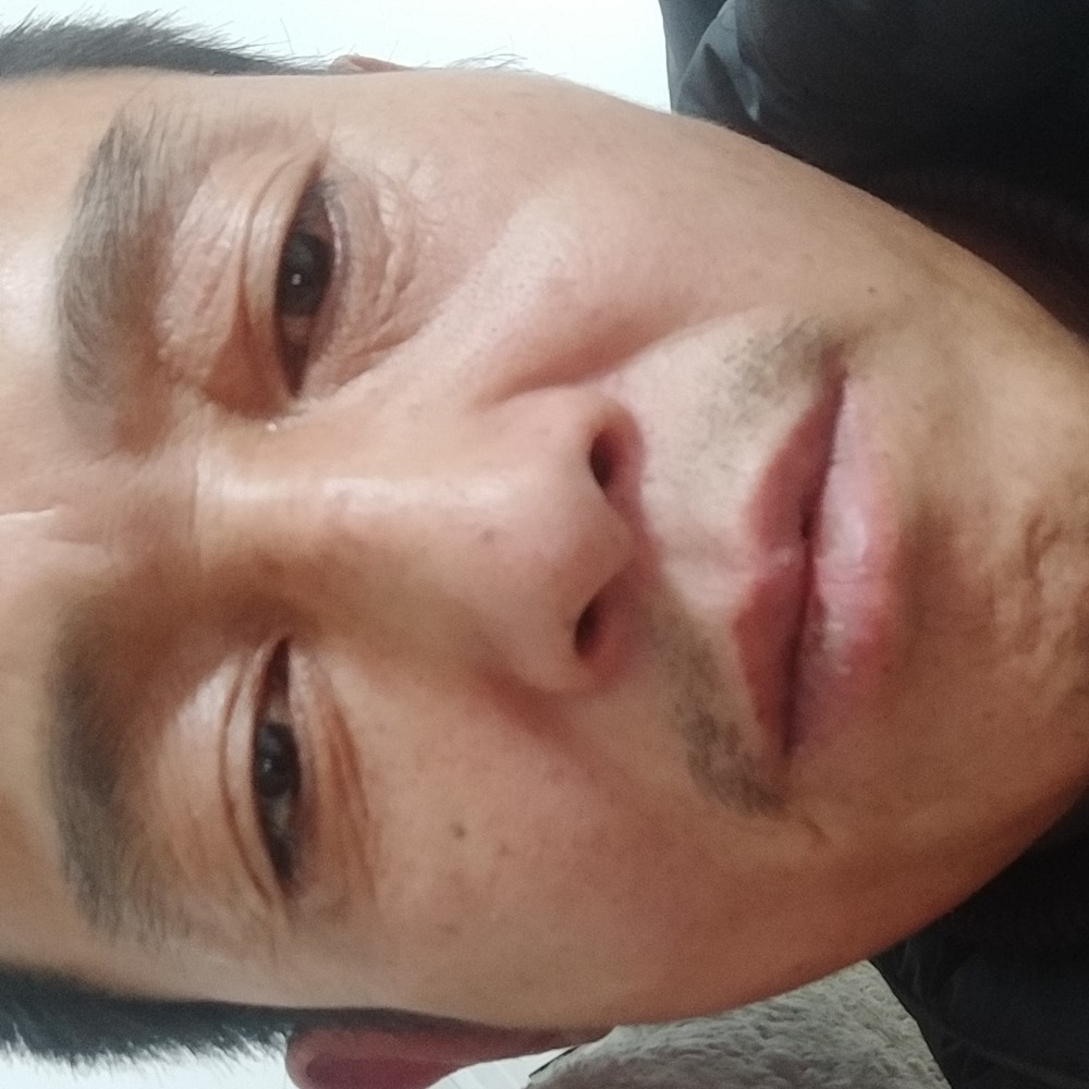 错落闻含羞草的照片