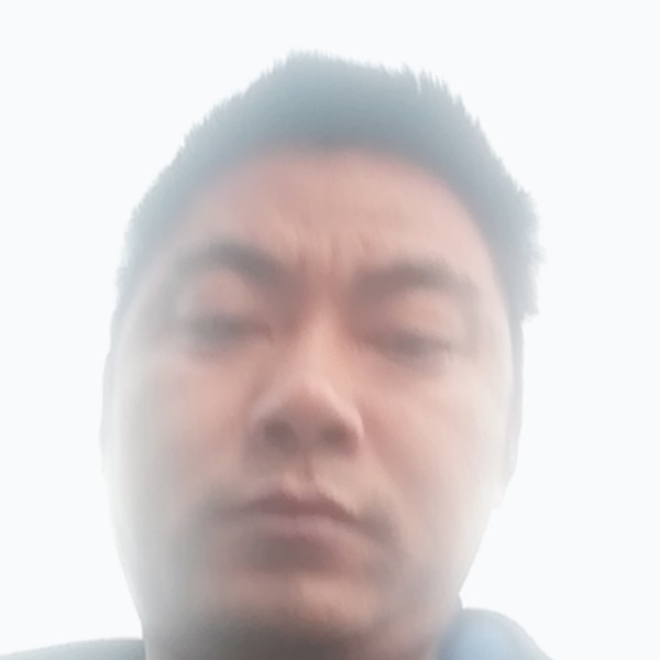 绿色港湾的照片