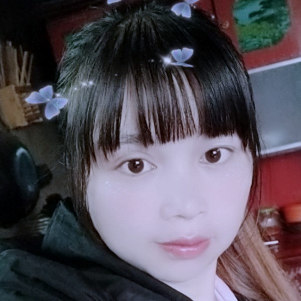 孤單演变乌龟的照片