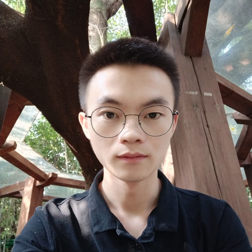 做一朵向阳花的照片