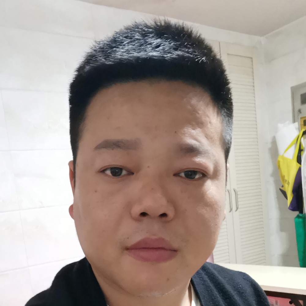 枯木林的照片