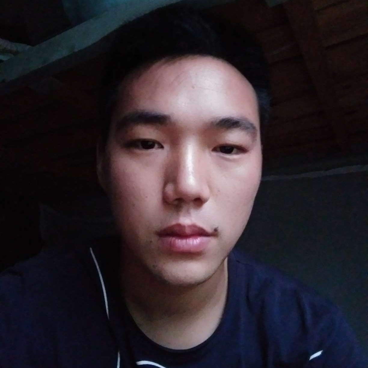 翅膀碧蓝的照片