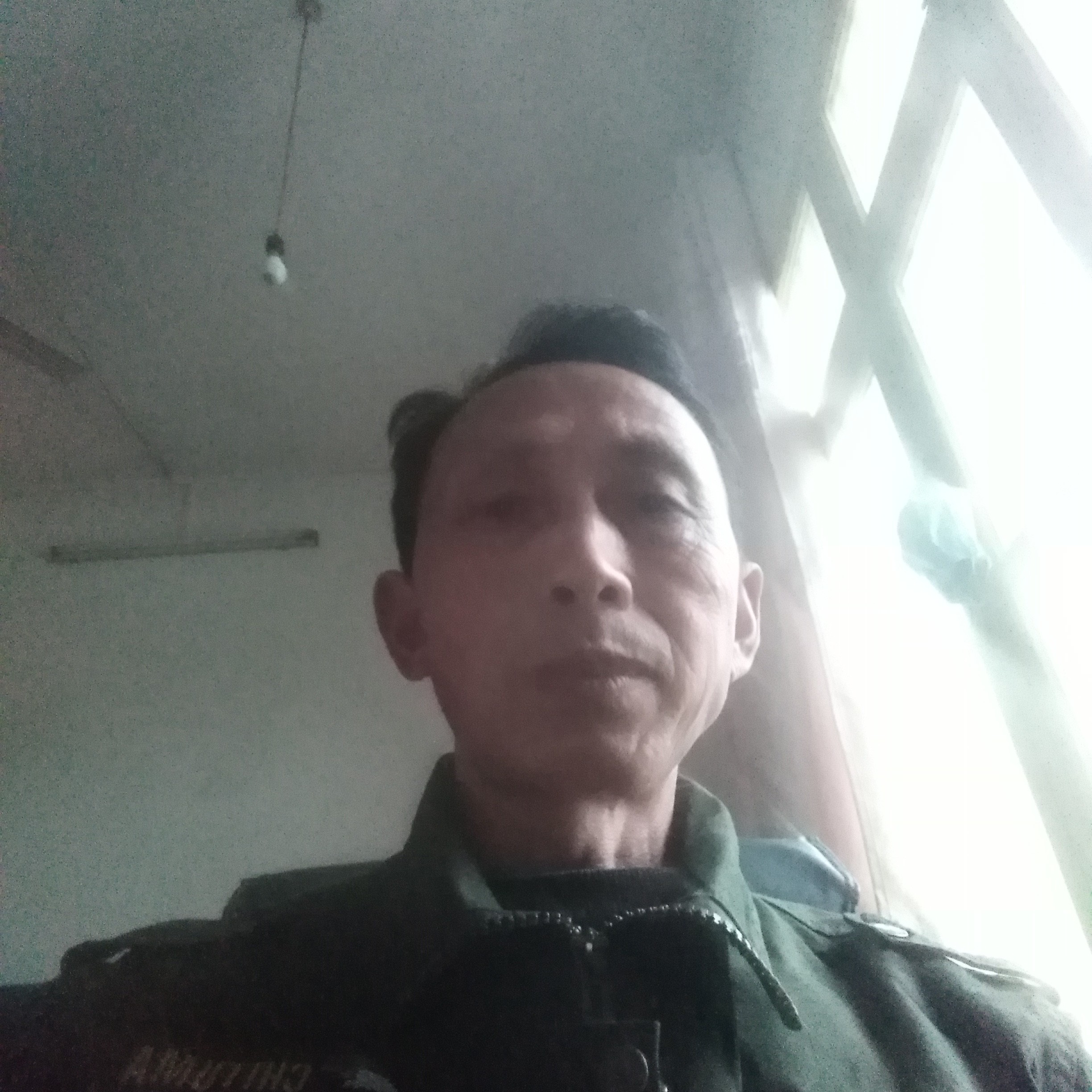 金鱼演变称心的照片