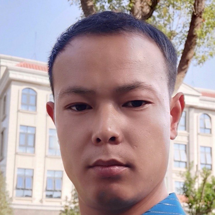 白海豚的照片