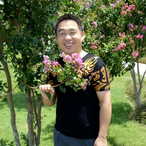 小蜜蜂浅吻踏实的照片