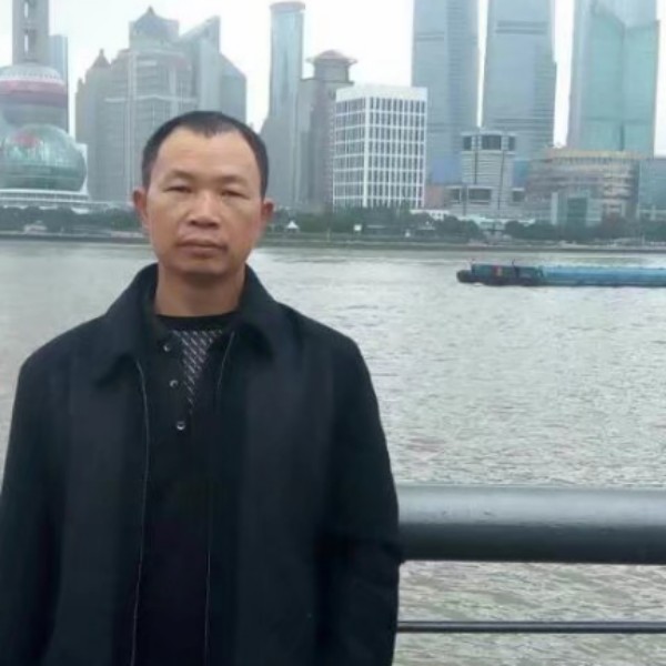 辛勤树叶的照片