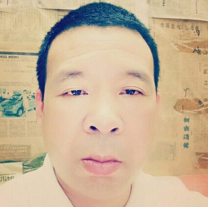自觉与大树的照片