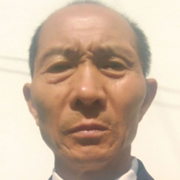 成就苦恋小蜜蜂的照片