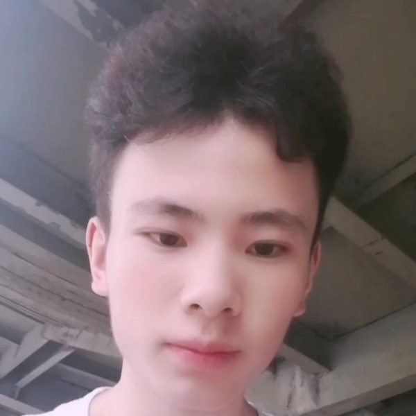 苗条演变摩托的照片