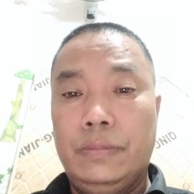 尊鹰的照片