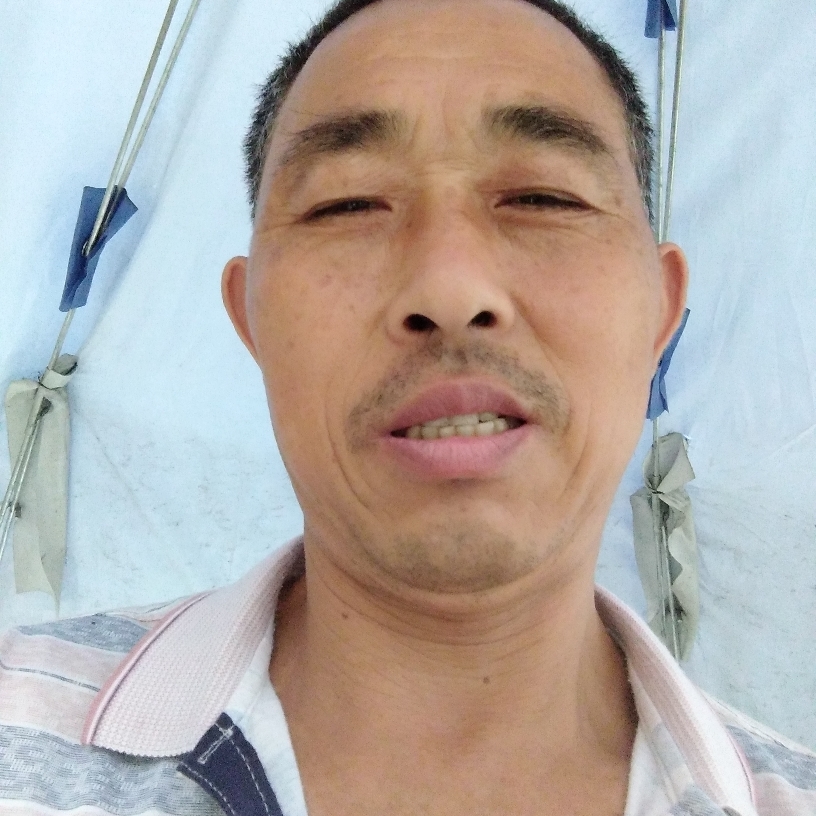 淡定的剪影的照片