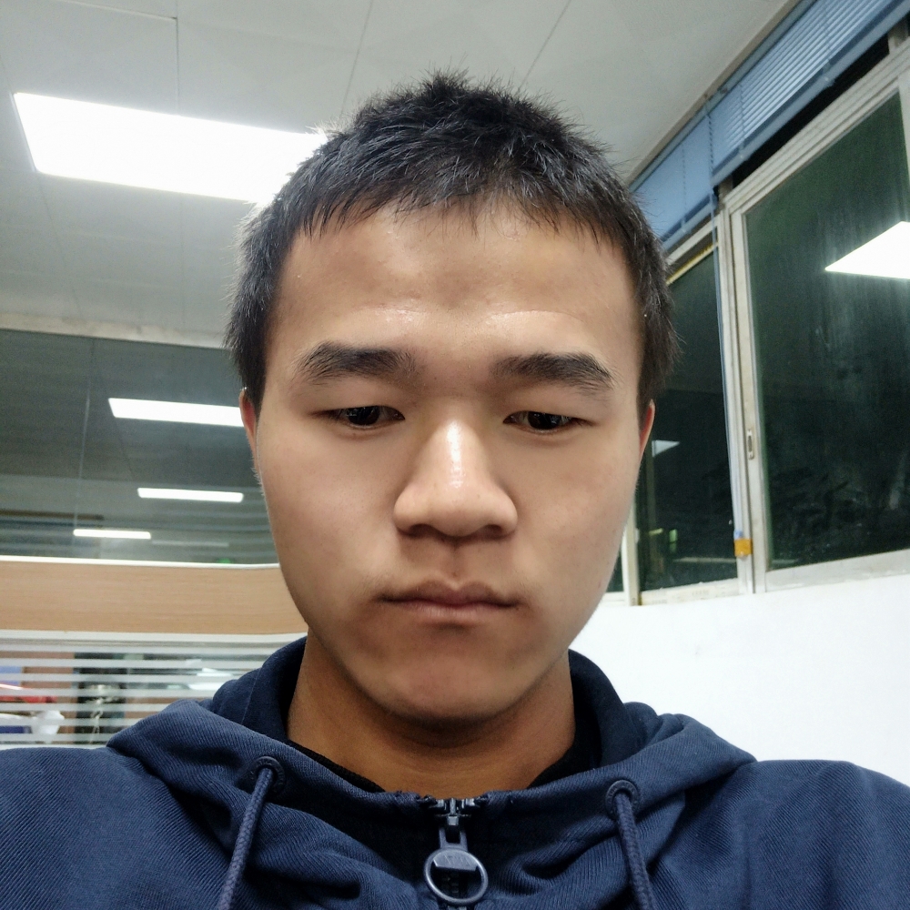 鸵鸟回眸寂冷的照片