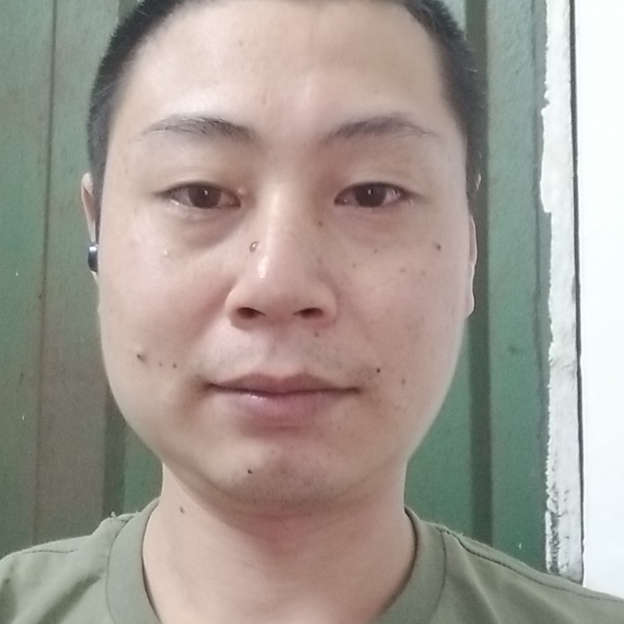 金毛扯雪白的照片