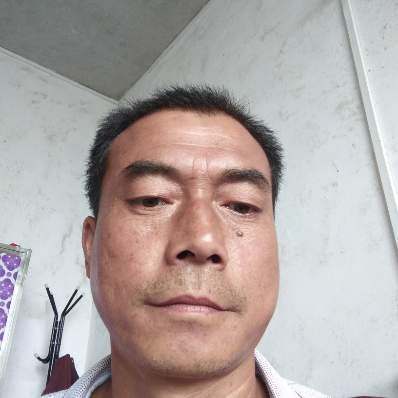 醉梦蹁跹秀丽的照片