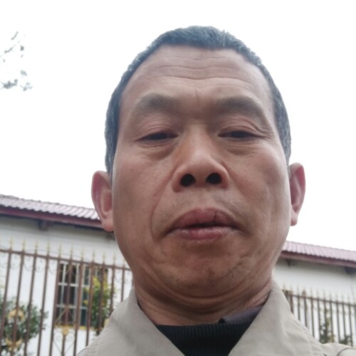 娇龙的照片