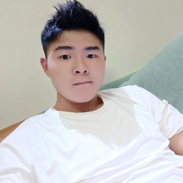 铅笔直率的照片