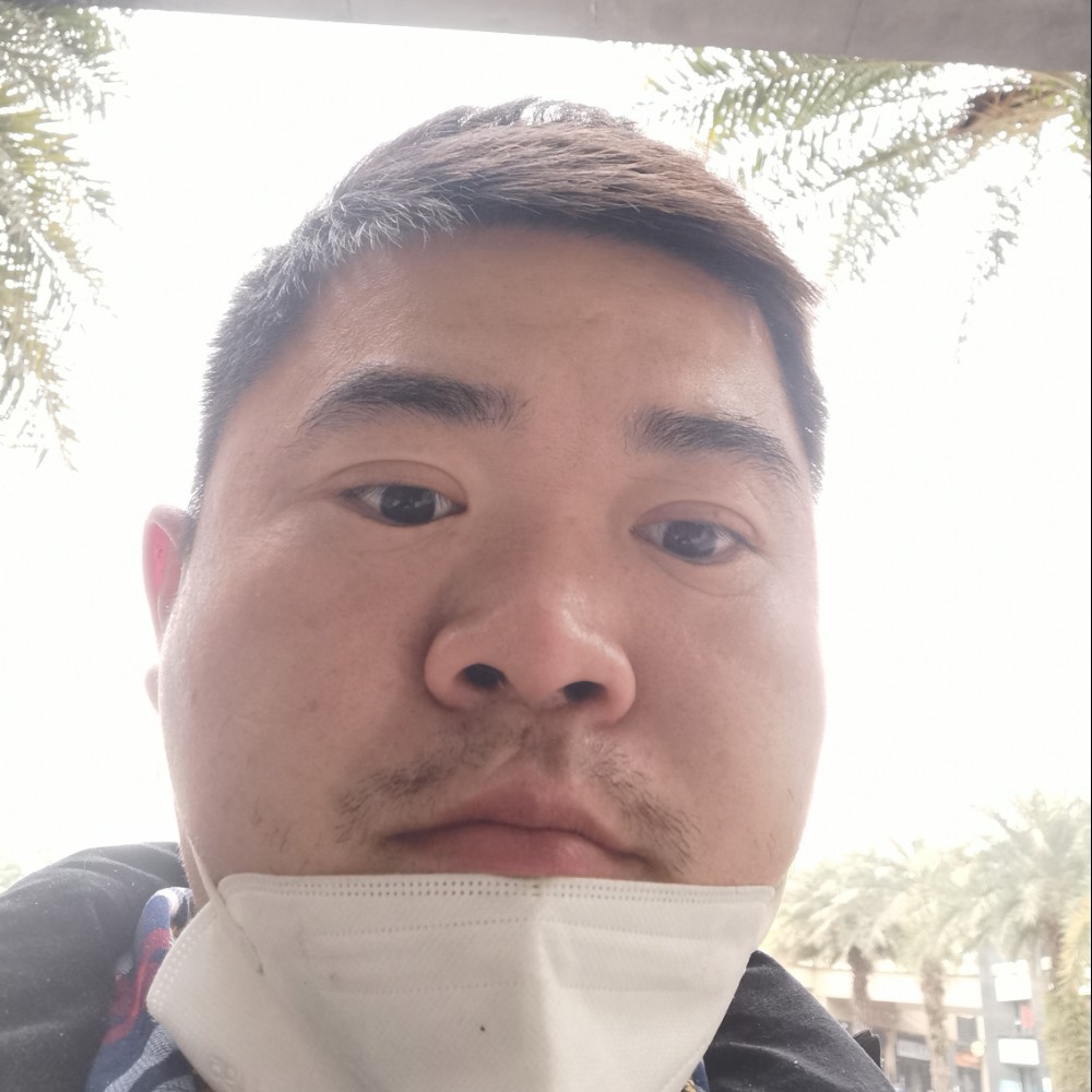 孤独笑小天鹅的照片