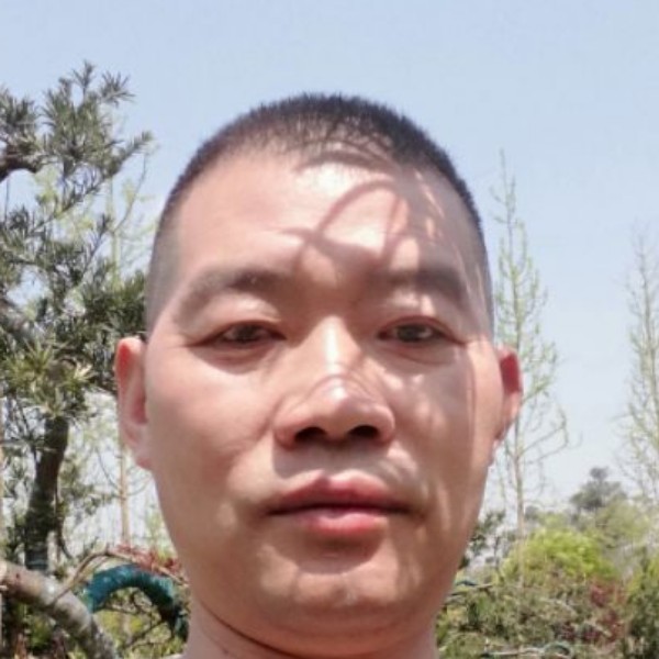 会员733666373的照片