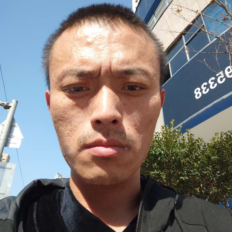合适等待老鼠的照片