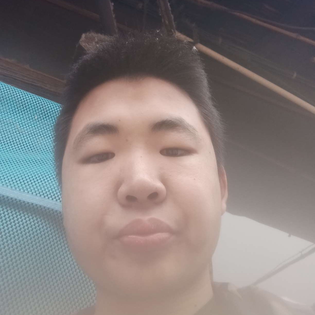 善良拾忆灯泡的照片