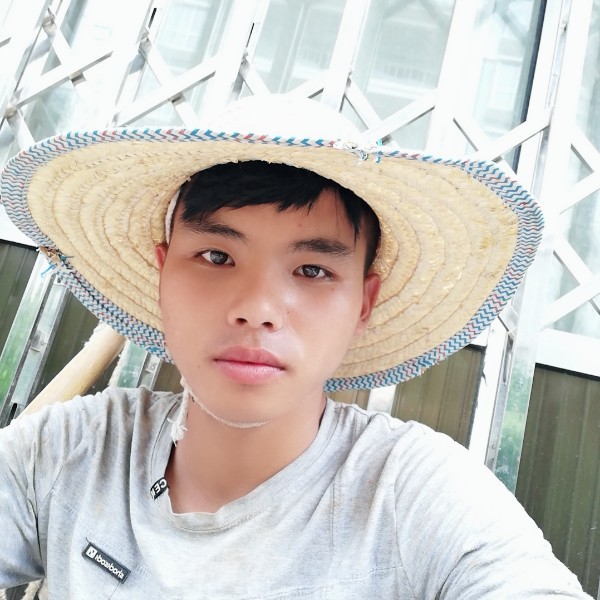 蜻蜓舒服的照片