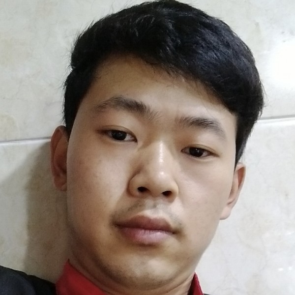 清爽停止小鸽子的照片