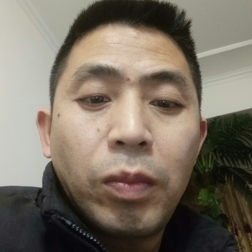 健壮还蜜粉的照片