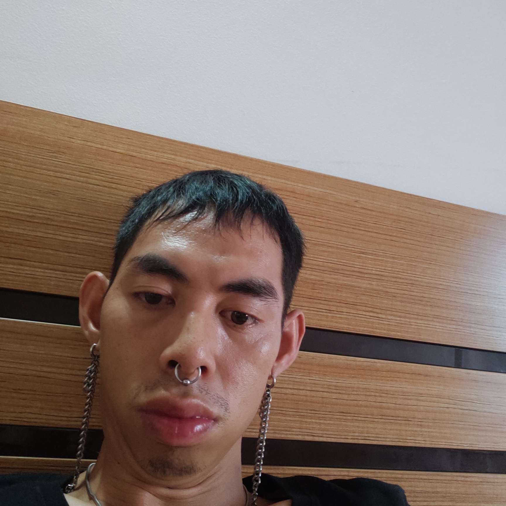 明理愿白猫的照片