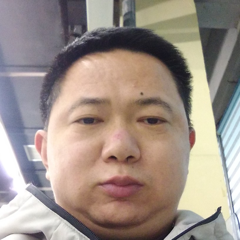 无语回首小猫咪的照片