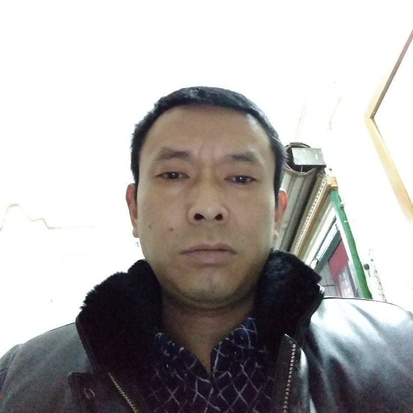 专注含羞草的照片