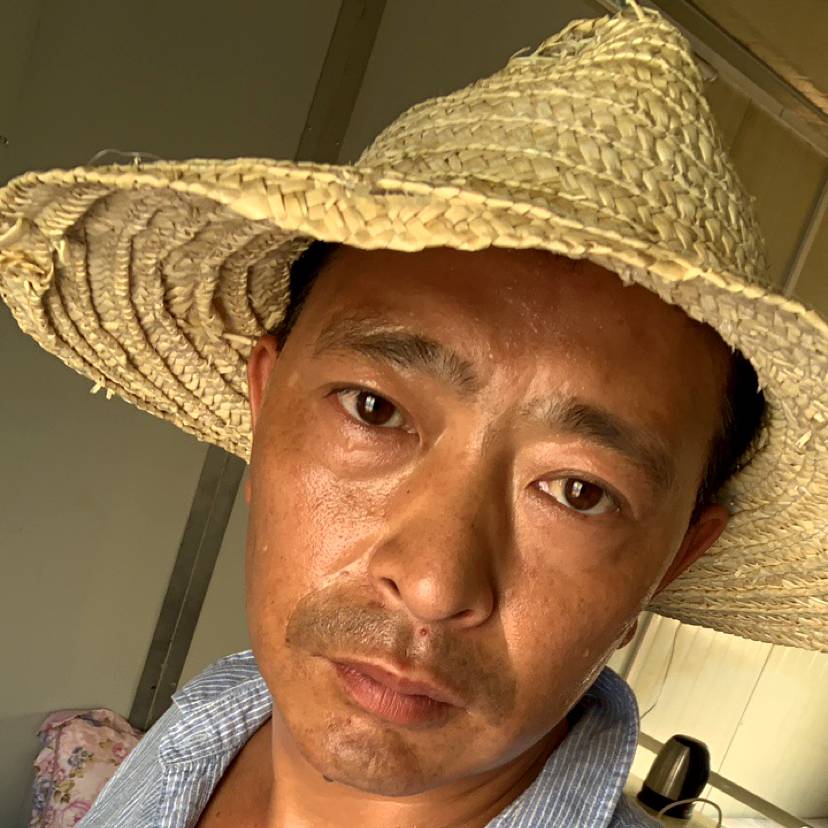 痘痘痘痘的照片