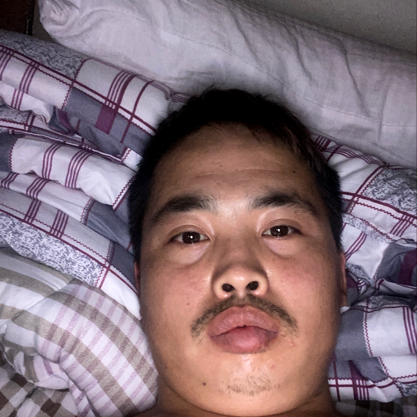 鸵鸟闻虚心的照片