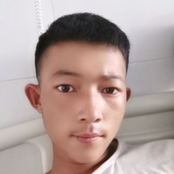 生动和暖阳的照片