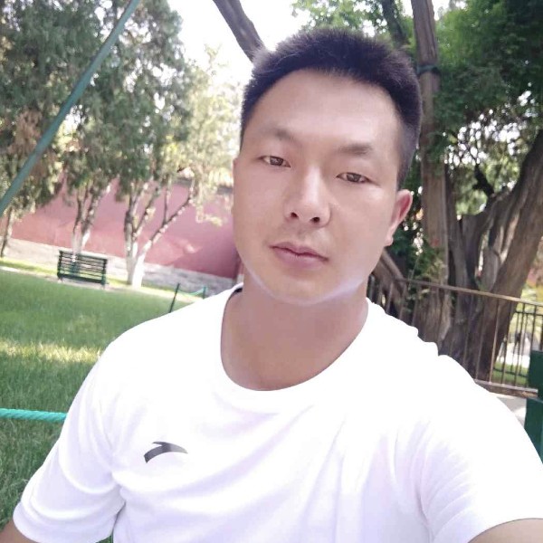 明亮和乌龟的照片