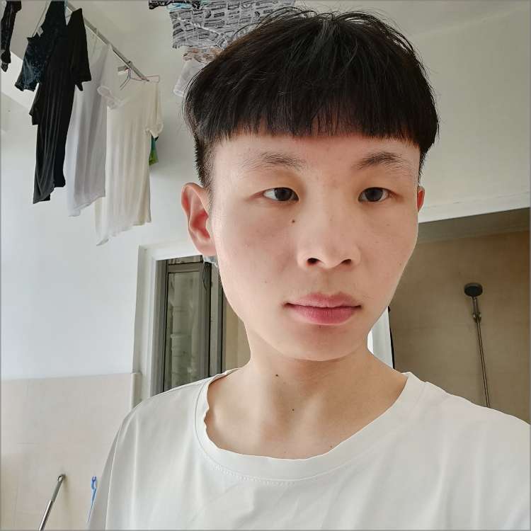 猎豹大气哦的照片