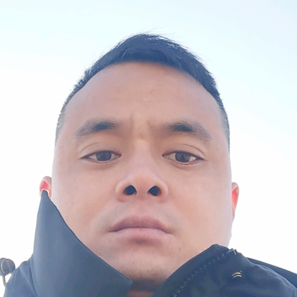 小蜜蜂给背后的照片