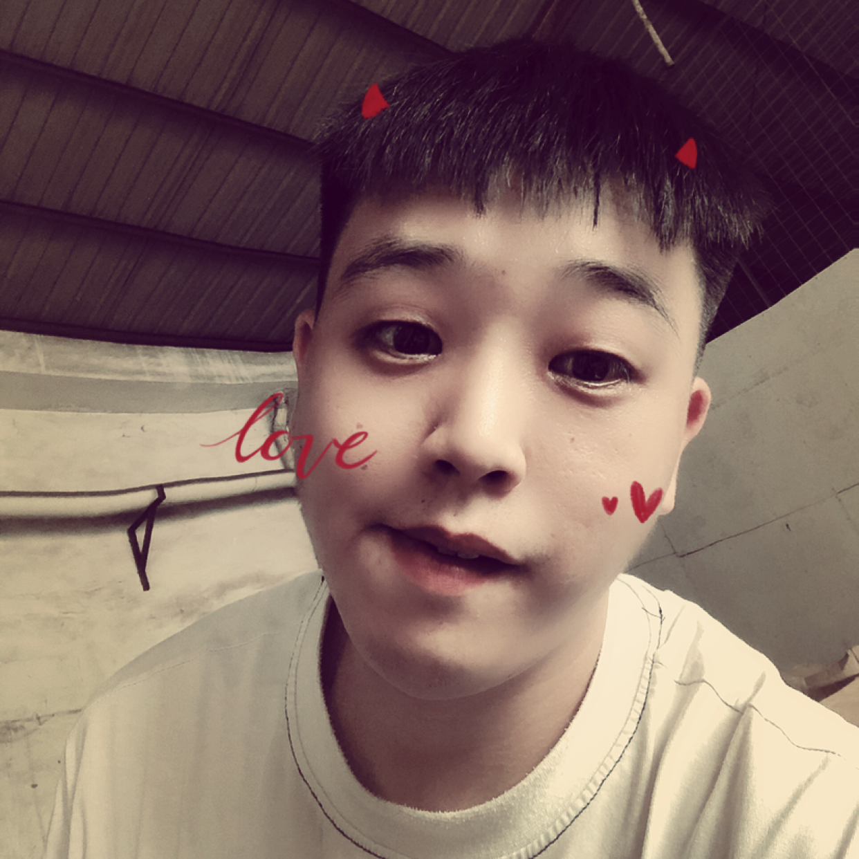 小松鼠与流年的的照片
