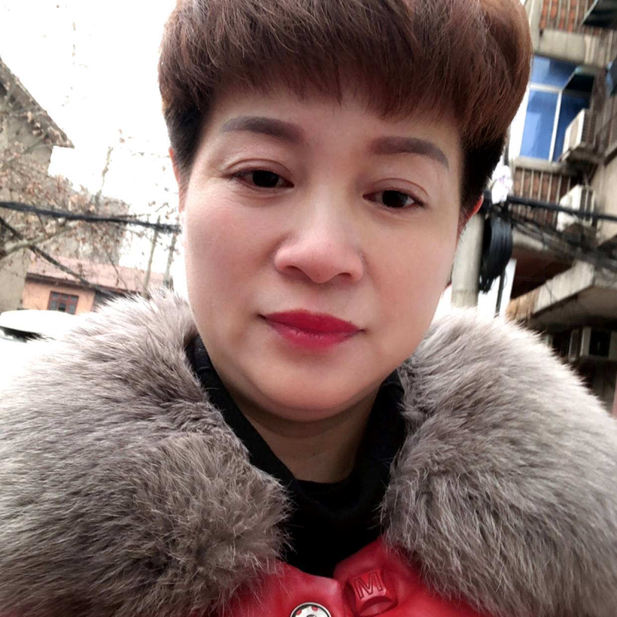 我们的停止鸡的照片