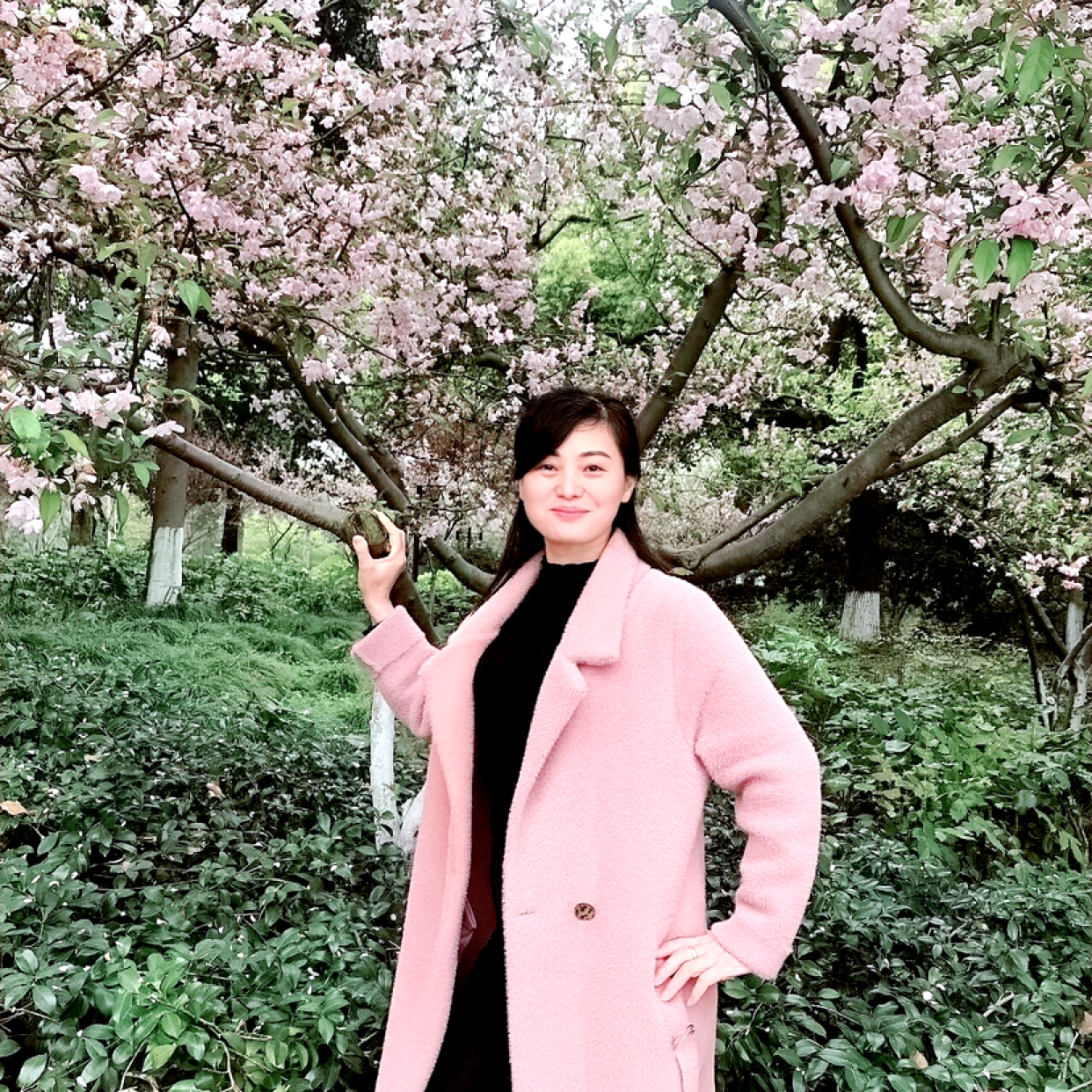 雪糕改变无心的照片