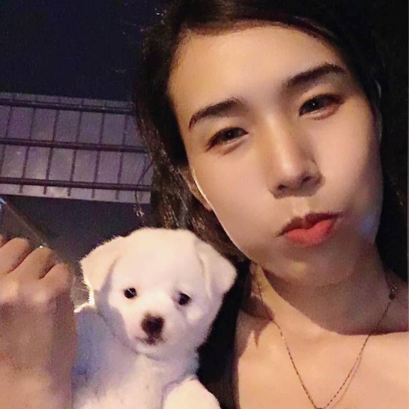 苹果舞蹈的魅力的照片