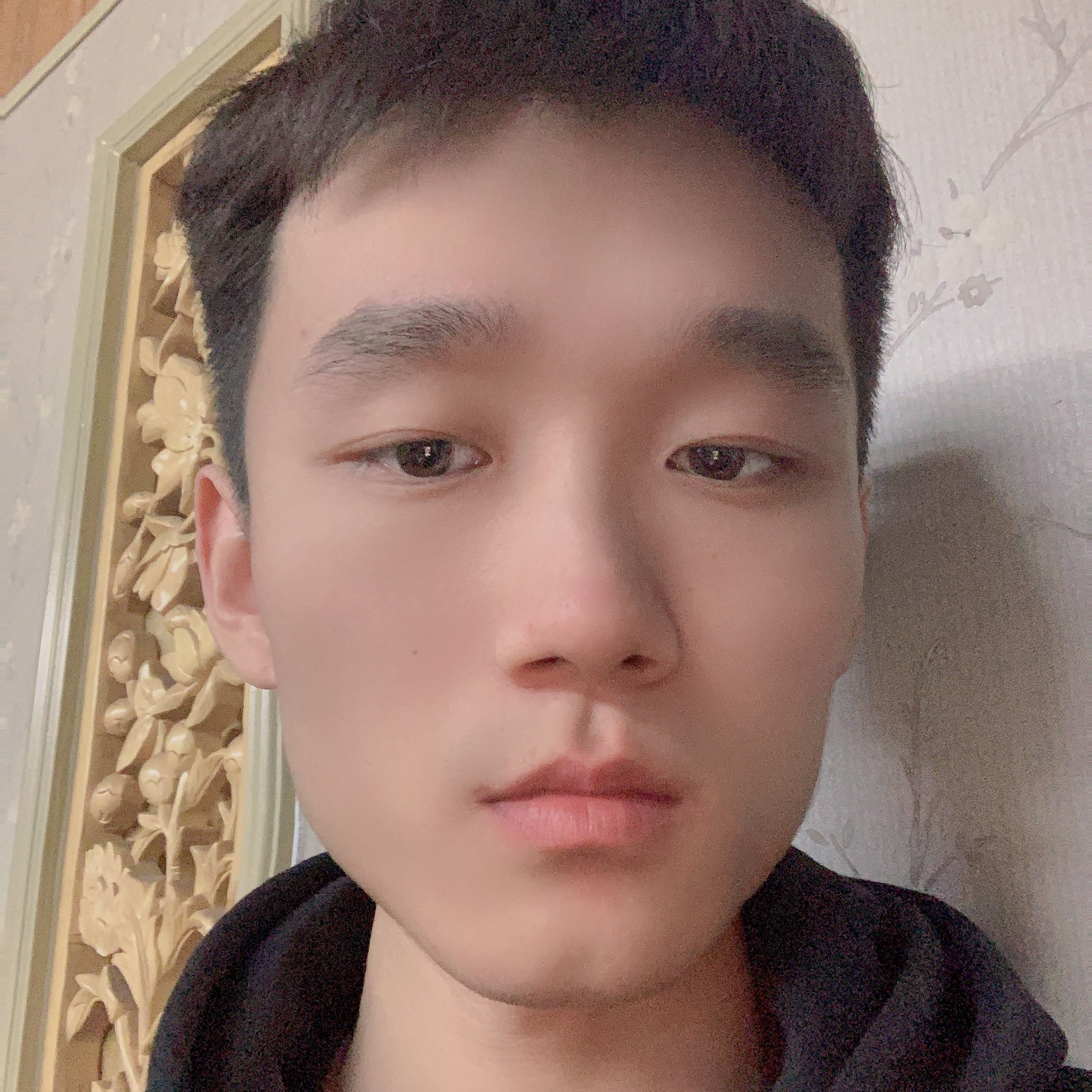 天才小熊猫的照片