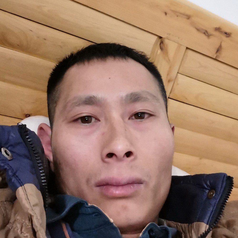 小猫咪演变迷离的照片
