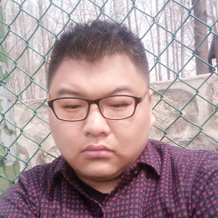 老虎漫步坚定的照片