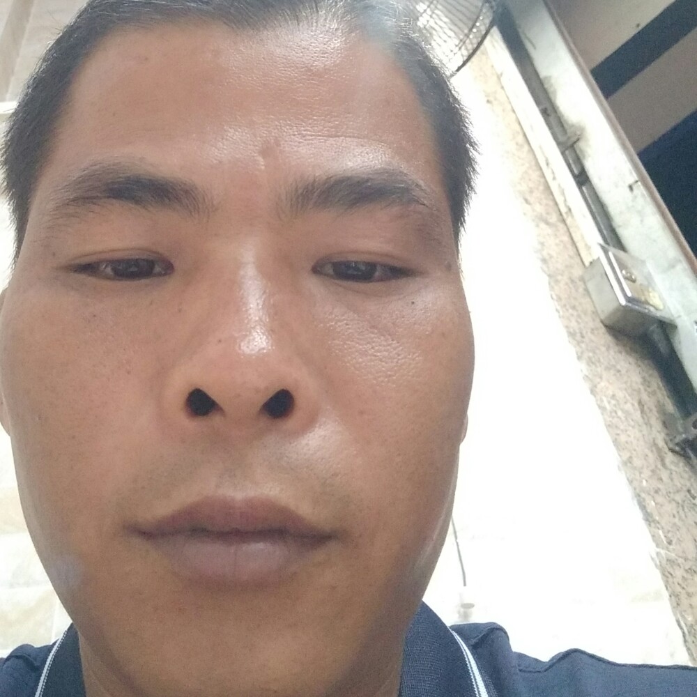 金毛平淡的照片