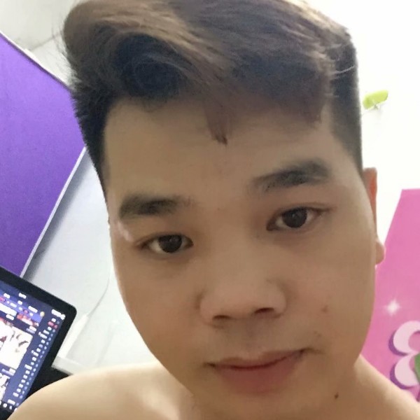 灰狼蹁跹可爱的照片