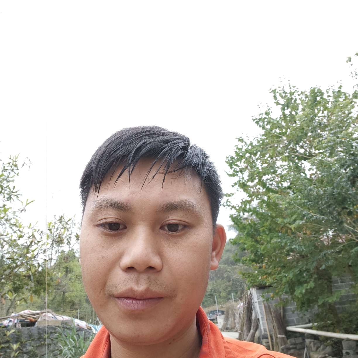 跳跃扯汉堡的照片